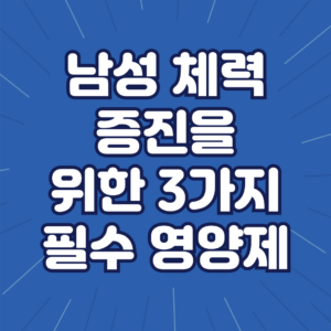 남성 체력에 좋은 영양제