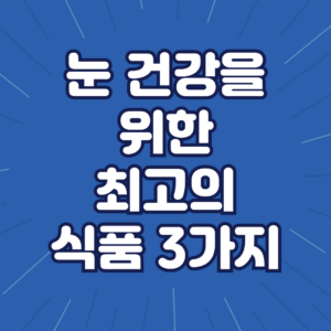 눈 건강에 좋은 영양제