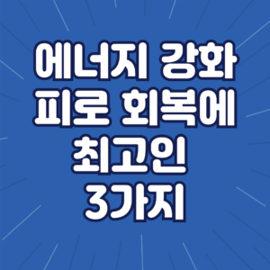 에너지 강화와 피로 회복에 좋은 영양제